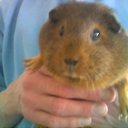 Suzanne Kehoe - @SuzanneKehoe1 - Twitter