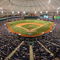 Tropicana Field(@TheTrop) 's Twitter Profileg