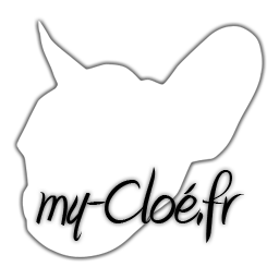 MyClo1's profile picture. Mon site avec bébés bouledogues français : http://t.co/a4TTwbyQAq