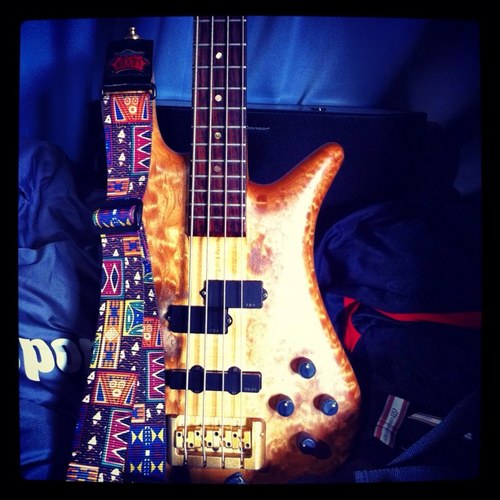 chen_spector's profile picture. 