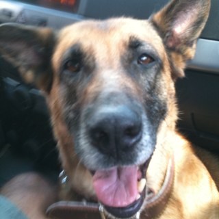 PujolTxati2007's profile picture. 