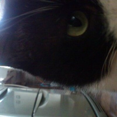 かーこん Chi Yu Ju 718 Twitter