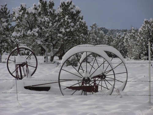 IreneQCommins's profile picture. hard worker, good saver, single, Manzano Mountains resident, love my family, happy :)