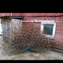 Deborah Roth - @mamaroth5 - Twitter