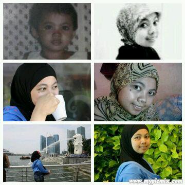 Pi2Paw's profile picture. 