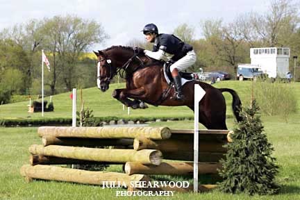 Husband of gorgeous wife, father of 3 kids of the usual variety, owner of too many horses