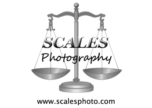 ScalesPhotos Profile Picture