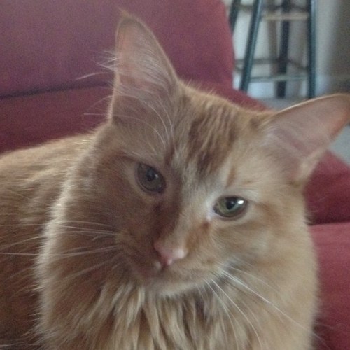 mrsbia's profile picture. 