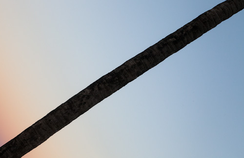 joeclarkx's profile picture. Artist / Photographer | London / Cologne