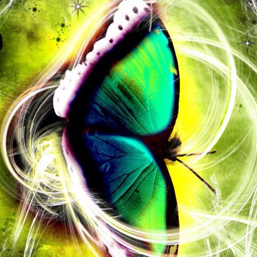 butterflyskh2's profile picture. 