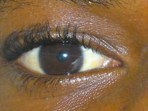 LizandroCoronho's profile picture. AMO a vida como ela é, sou fanatico por desporto, humor, bons programas e tudo de bom .
sou louco por rock and roll