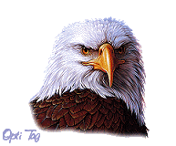 OceanEddy2013's profile picture. I am an independent conservative on financial issues. I am an independent liberal on most social issues.