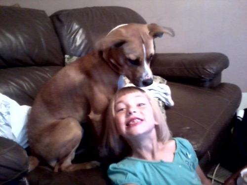 Melluvsanimals's profile picture. I loves animals i have a pit/boxer pup named Duke.I love @wwe @Randyorton @johncena @wwethebigshow @cmpunk are my favs #riseabovehate!!