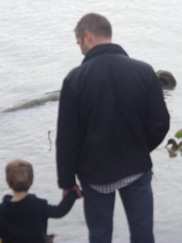 Litigation attorney, family man