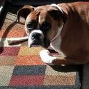 Kim Darrah - @kimdarrah1 - Twitter