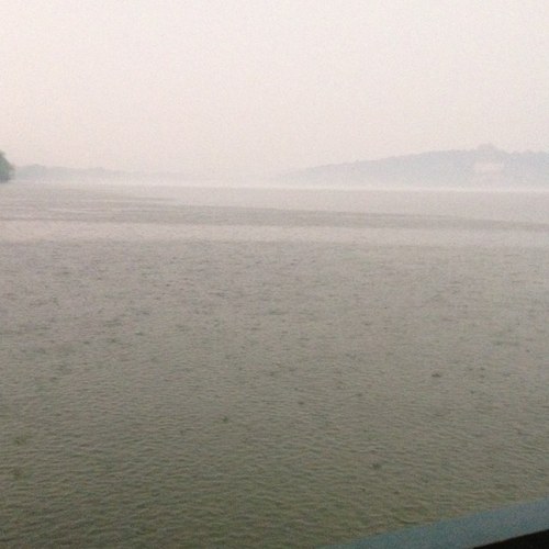 xiaoyjy's profile picture. 