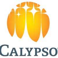 Calypso Waterpark (@calypsoottawa) Twitter profile photo