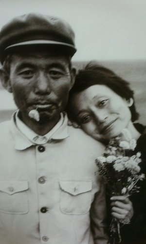단지불회(但知不会)