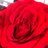 PhHana's profile image