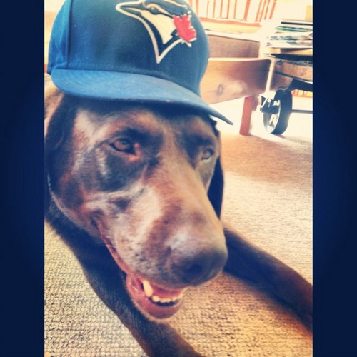 JakeAlanS's profile picture. 