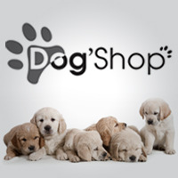 DogShop1's profile picture. 