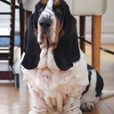 Deborah Bernardi - @DeborahBernard5 - Twitter