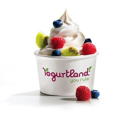 YogurtLandSTG's profile picture. Get real.