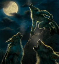 We are the biggest & best werewolf group on deviantArt! We love and accept all types of werewolves but we are out to prove that they can be more than monsters!