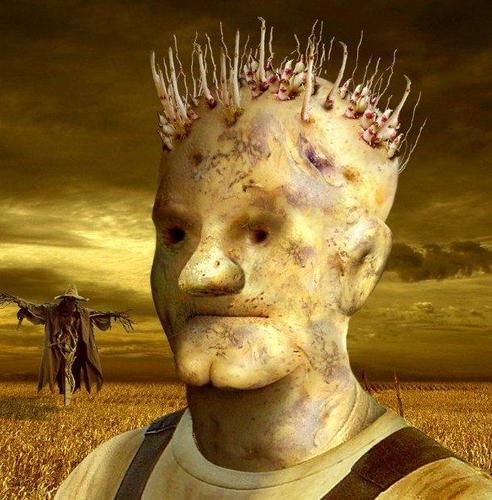 freshcut1's profile picture. Humble produce peddler. 
Retweet does not signify agreement.