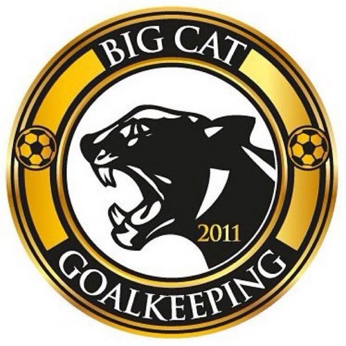 BigCatGK's profile picture. Goalkeeping specific organization founded by Neil Thompson. Big Cat  goalkeepers have went on to represent US, Mexico, Canada.