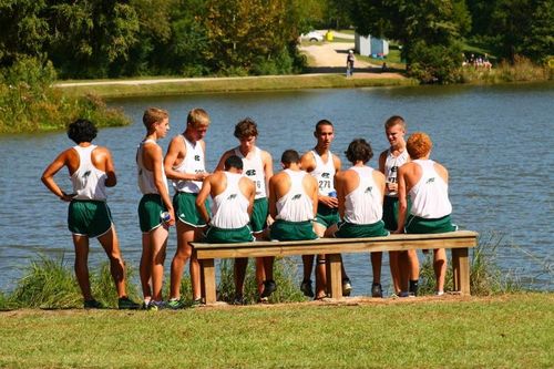 truefalse69's profile picture. 