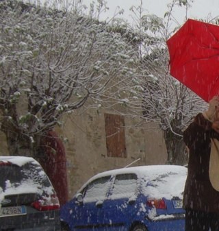 mirnambra's profile picture. 