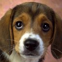 Gabrielle McDowell - @McdowellGaby - Twitter