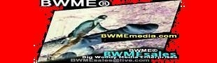 BWMEsales's profile picture. http://t.co/splrn8tYyf