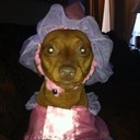 Bella - @BellaEllison - Twitter