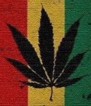 LEGALIZE JÁ! Uma erva natural não pode te prejuticar!!! _\|/_