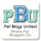 PetBlogsUnited's profile picture. I'm Oskar, a miniature schnauzer.  My mom person and I have created a great place for pet bloggers and we'd love for you to check it out!
