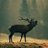 MooseFacts's profile image