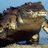 PhySykes's profile image