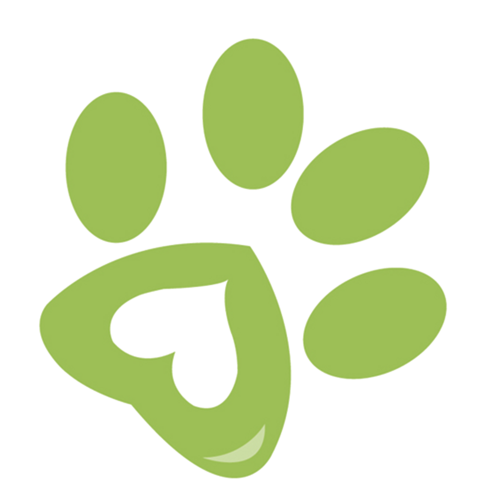 EcoPawCare's profile picture. We develop environmental, social, and cost-effective pet products. We love your pet!