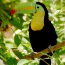 Shauna parks - @cowmoo2688 - Twitter