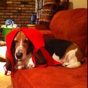 Tom Triolo - @dusted73 - Twitter