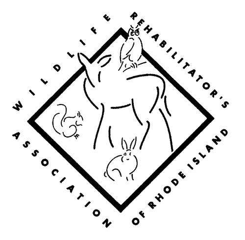 RIwildliferehab's profile picture. WRARI is dedicated to the care of injured and orphaned wildlife in the state of Rhode Island.