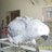 chicken_orange's profile image