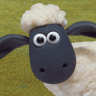 shaundasschaf's profile picture. Shaun das Schaf goes Twitter