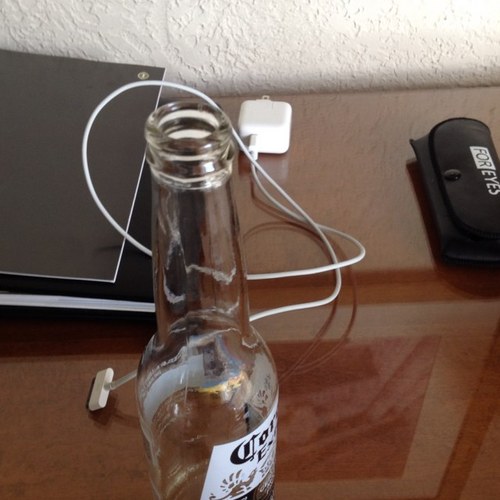 danimal019's profile picture. 