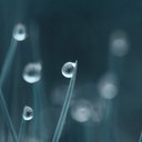 Jody Prince - @JodyPrince6 - Twitter