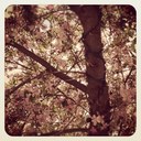 marisa huerta - @marisahv - Twitter