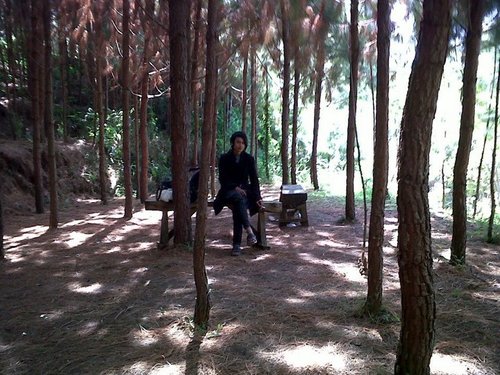 Sillent_Jay's profile picture. 