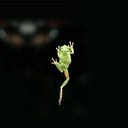 Roberto Leonard - @robertoleonard - Twitter